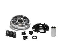 VARIATORE MALOSSI PER SYM JORIDE 150 5111869