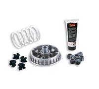 VARIATORE MULTIVAR 2000 APRILIA ATLANTIC 500 4T LC MALOSSI 5114260