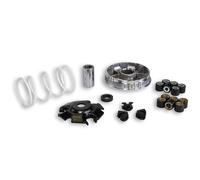 VARIATORE MULTIVAR 2000 MALOSSI PIAGGIO HEXAGON LXT 180 2T LC 5111258