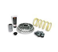 Malossi Multivar 2000 Suzuki Burgman 400 Variator Kit Argento