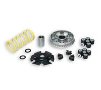 VARIATORE MULTIVAR 2000 PEUGEOT TWEET 125 4T EURO 3 MALOSSI 5118659