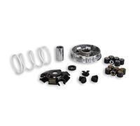 VARIATORE MULTIVAR 2000 PIAGGIO HEXAGON LXT 180 2T LC MALOSSI 5111258