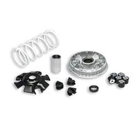 VARIATORE MULTIVAR 2000 SUZUKI BURGMAN UH 125 4T LC MALOSSI 5111324