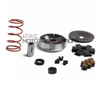 Variatore Multivar Malossi Gruppo Trasmissione Over Range Piaggio Grillo 50 2T