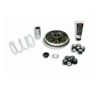 Variatore Multivar MALOSSI Honda sh300 / Forza 300 5114192 (Antico 5113398) per