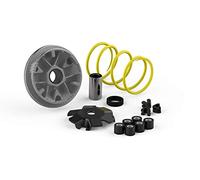 VARIATORE MULTIVAR PER SCOOTER COMPATIBILE CON HONDA X8R X - X8R S 50 2T MALOSSI 517117