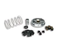 VARIATORE MULTIVAR PER SCOOTER PEUGEOT LUDIX 50 2T MALOSSI 518752