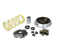 VARIATORE MULTIVAR PER SCOOTER SUZUKI KATANA 50 2T MALOSSI 5111298