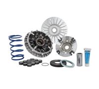 Variatore Polini 12 Rulli Evolution 3 Yamaha TMax 500 dal 2001 al 2011 - MF1445