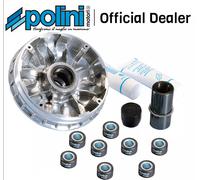 Polini Variatore HI-Speed Yamaha X-Max 250 250I X-City 250 Mbk Sky 250 241.649