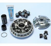 Variatore POLINI Hi-Speed Honda Sh ,@, Bali 125/150 4t (241619) per Moto Ricambi