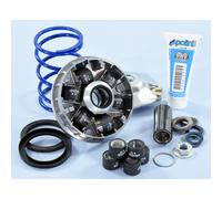 Variatore Polini Hi-Speed Evo Piaggio D16-12,5º 241.749 Per Moto Ricambi