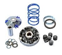 Variatore Polini Hi-Speed Evolution compatibile con Piaggio Typhoon 50 | Bossolo variatore 14,8 mm, 6 rulli 19 x 15,5 mm, 2 set rulli 3,8 o 4,3 g per Gilera Runner 50 anno 1999 - 2000