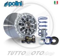 VARIATORE POLINI HI-SPEED EVOLUTION YAMAHA TMAX 530 2014 2015 2016 241701