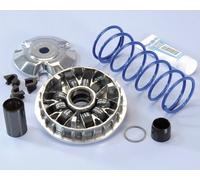 VARIATORE POLINI HI-SPEED HONDA 125 PCX 9 RULLI