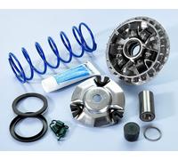 Variatore Polini HI Speed Honda SH 125-150i ABS E5 241.755