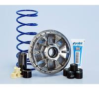 VARIATORE POLINI PER KYMCO AGILITY 300I EURO 4 HI-SPEED CON RULLI 23X18 DA 16 GR