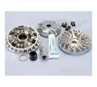 Variatore Polini Hi-Speed Piaggio Vespa 125 Primavera 4T 3V Per Moto Ricambi