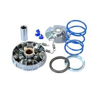 Variatore POLINI Hi-Speed Piaggio Zip 50 4 tempi, zip 100 | Rulli rinforzati, OEM 241.674 compatibili con Piaggio Zip 2 50 4T, Aprilia SR 50 R Factory dal 2005.