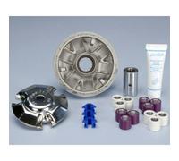 Variatore POLINI Yamaha 125 (241646) per Moto Ricambi Ciclomotore