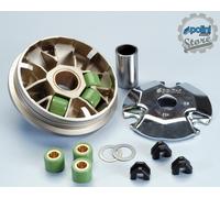 Variatore quad ATV Aeon Cobra 90 Polini cod. 241.623