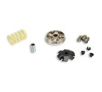 VARIATORE malossi multivar 2000 per Speedfight, Elyseo, Trekker, Vivacity 100. (secondo anno di costr. 9/99), Pesi: 19 X 15,5 mm - 11 50