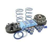 variatorkit POLINI Hi-Speed per Piaggio breve (Variatore cinghia trapezoidale, 2 contropressione piume, 2 Set di pesi)