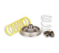 variomatik MALOSSI MULTIVAR 2000 Honda Pantheon 2T Fes 125 (2002)