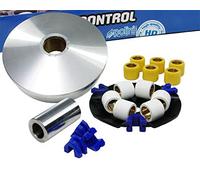 variomatik POLINI Speed Control - 2 One tipo: L1
