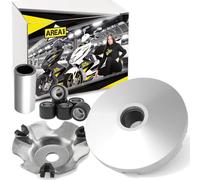 Variomatik Variator compatibile con Mojito, Sport City One, Scarabeo (50 ccm/2T)