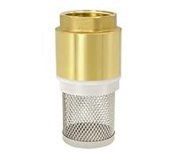 Variosan 14146, valvola di non ritorno 3/4", in ottone, cestello in acciaio inox