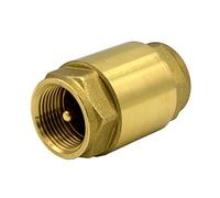 VARIOSAN Valvola di non ritorno 12609, 2", ottone, PN 18, IG