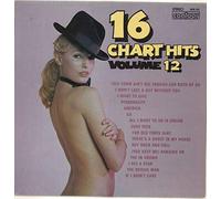 Various - 16 Chart Hits Volume 12