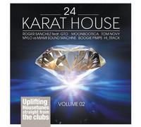 Various - 24 Karat House Vol.2