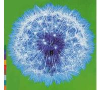 Various - A Week Or Two in the Real World