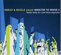 Various - Addicted to House 2
