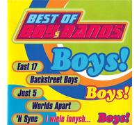 Various - Amazing BoiBands (CD Compilation, 17 Titel, Diverse Künstler) 3T I Need You / Just 5 - kolorowe Sny / 911 - Bodyshakin / LFO - The Way You Like It / Human Nature - Tellin' Everybody / Alibi - you Got It u.a.