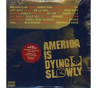 Various - America Is Dying Slowly