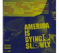 Various - America Is Dying Slowly/Enhanc