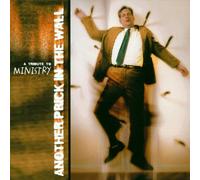 Various - Another Prick in the Wall