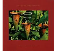 Various - Artificial Intelligence. II