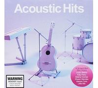 Various Artist - Acoustic Hits (2 CD)