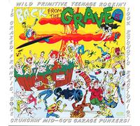 Various Artists - Back From The Grave Volume 5 (Reissue) (LP)