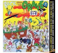 Various Artist - Back From The Grave 5 & 6