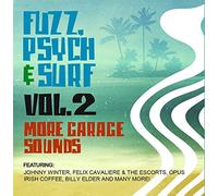 fuzz psych & surf 2: more garage sounds / var