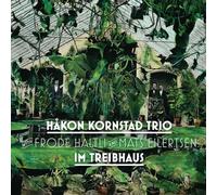 Various Artist - Im Treibhaus