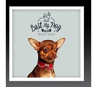 Various Artist - Lost My Dog 10x10: 2005