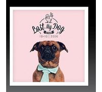 Various Artist - Lost My Dog 10x10: 2006