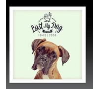 Various Artist - Lost My Dog 10x10: 2008