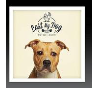 Various Artist - Lost My Dog 10x10: 2009